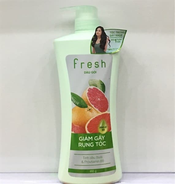 Dầu gội fresh 650g